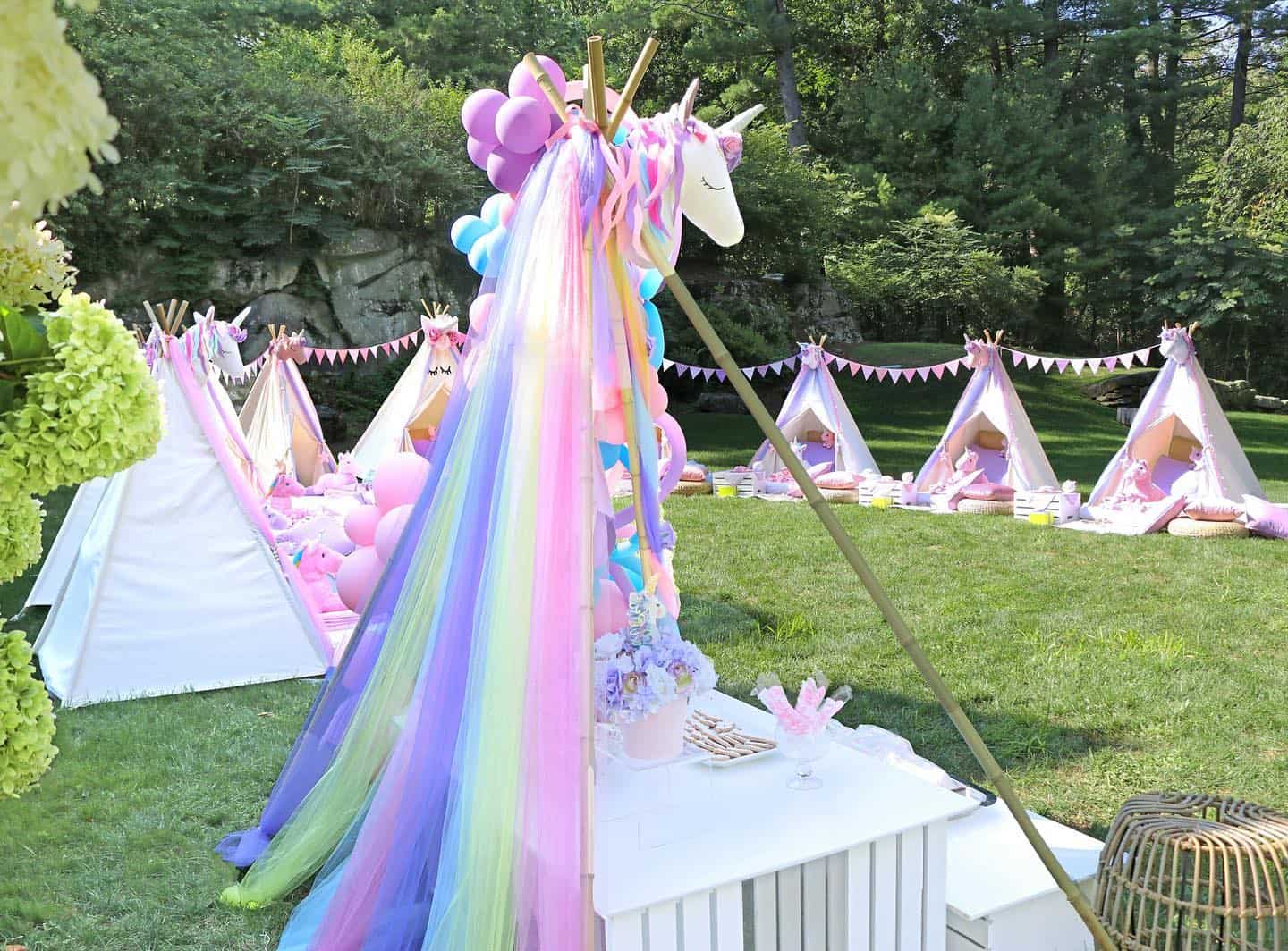Unicorn Glamping Party