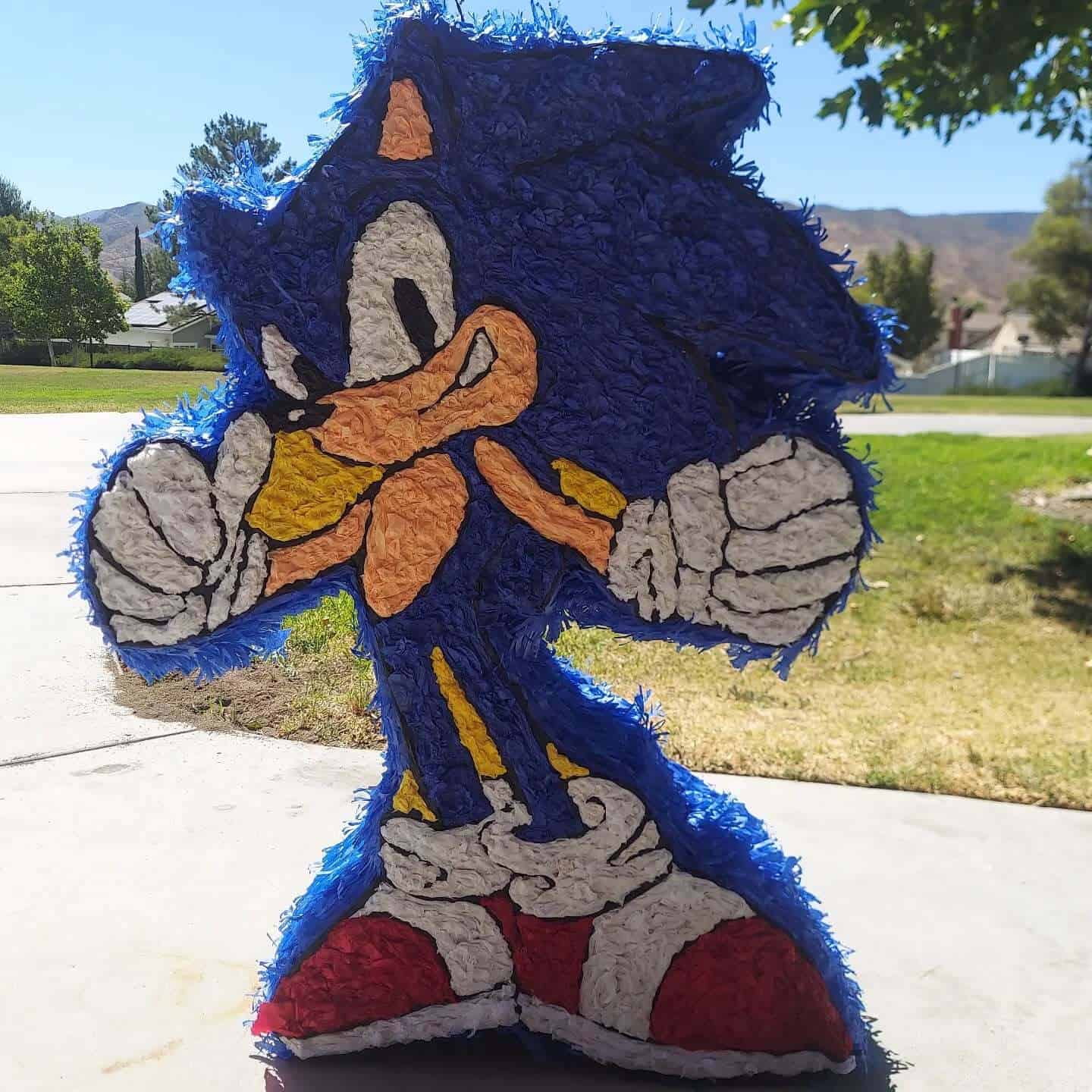 Giant Sonic Piñata for Birthday Party