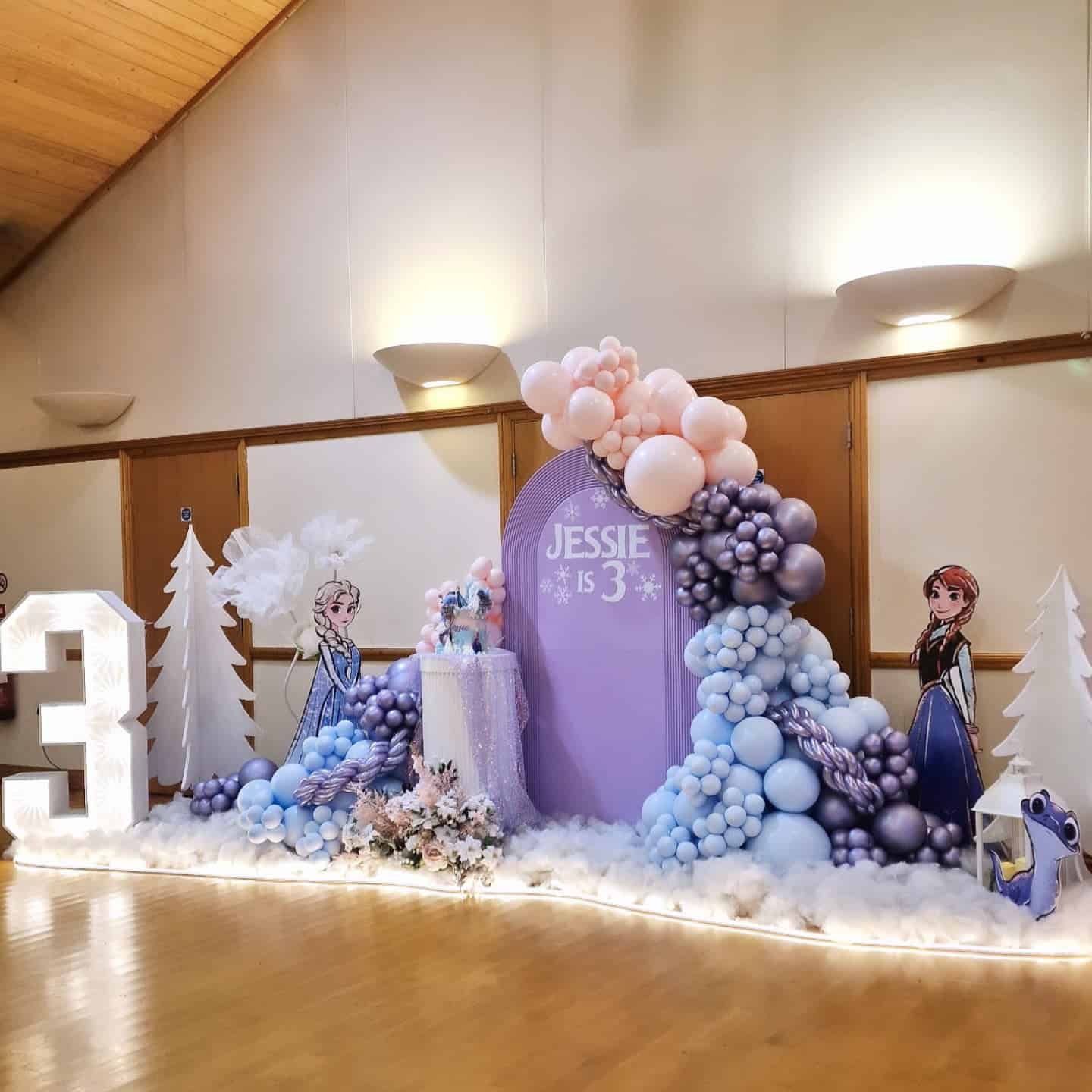 Indoor Frozen Party Backdrop Jessie
