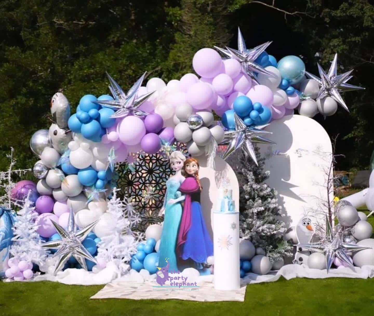 Outdoor Frozen Balloon Photo Setup