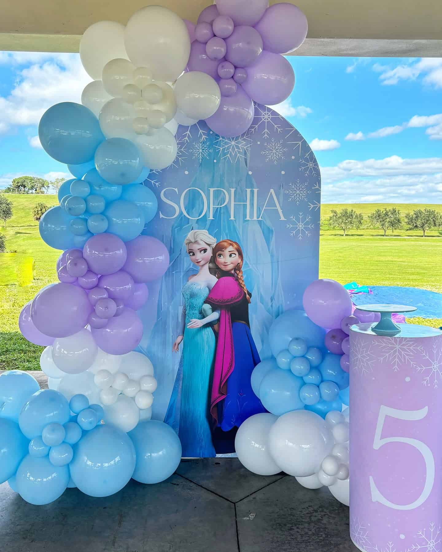 Personalized Frozen Party Backdrop