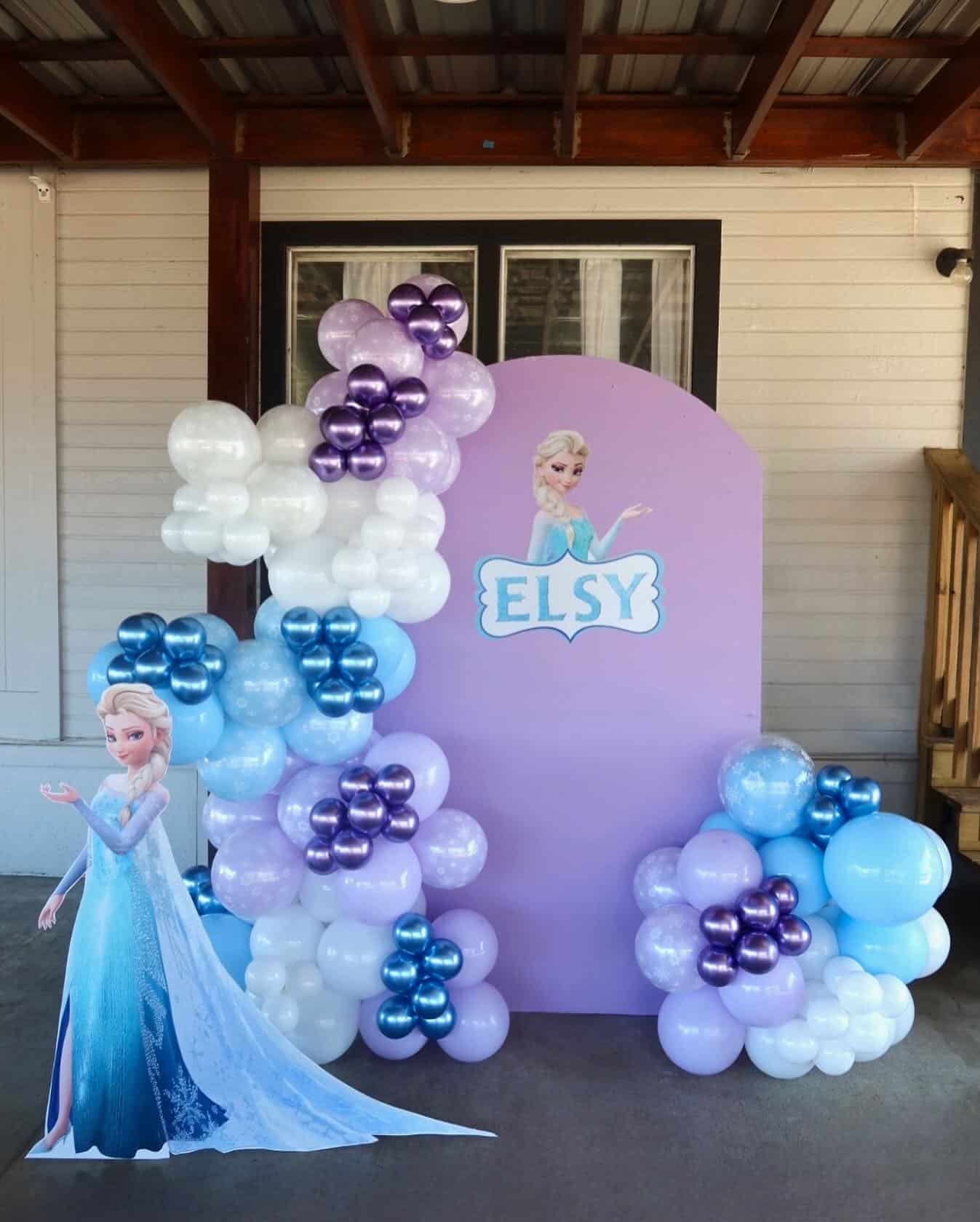 Simple Frozen Backdrop Decoration