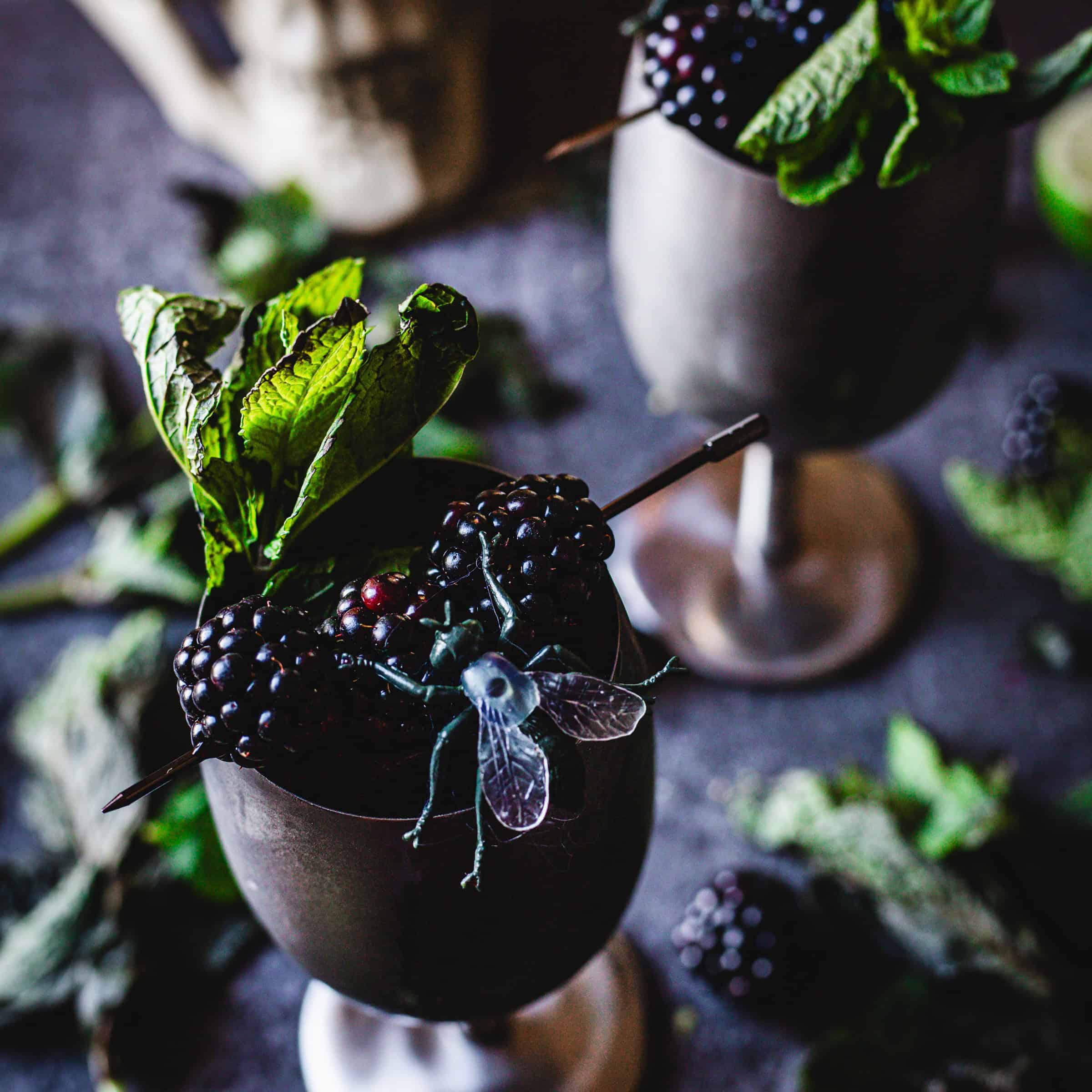 Blackberry Mint Mojito Mocktail