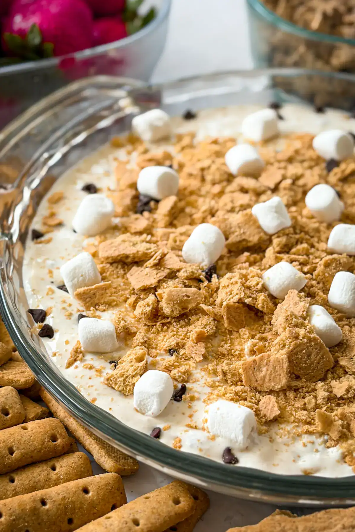 Cottage Cheese S'mores Dip