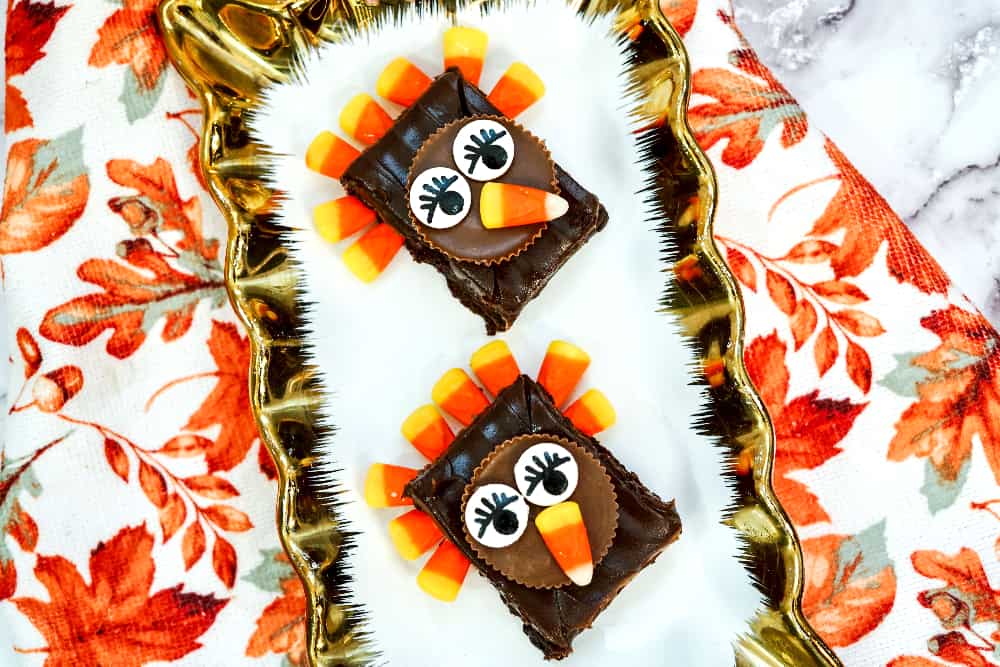 Thanksgiving Turkey Brownies by Two Kids and a Coupon