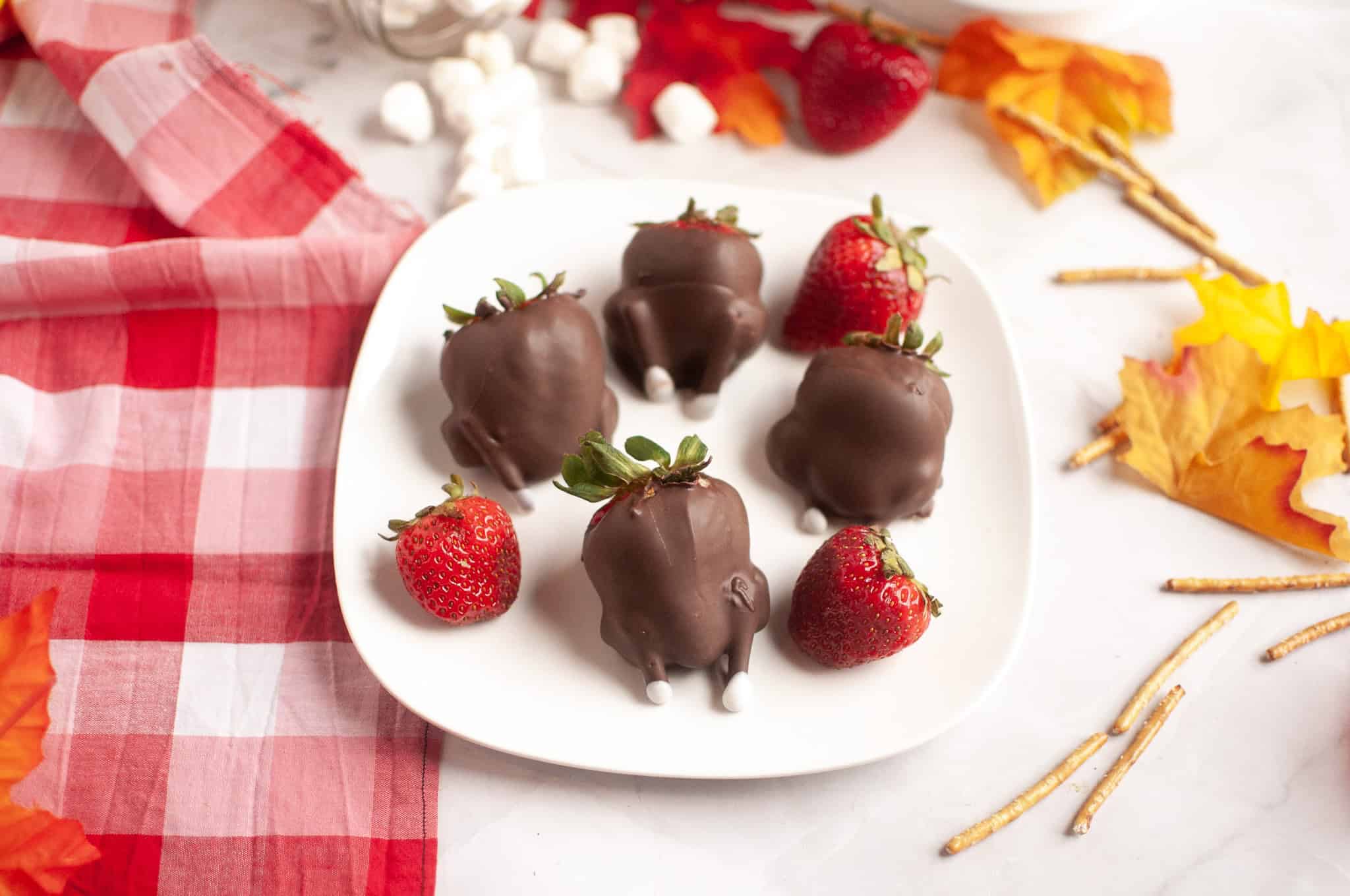 Turkey Chocolate Covered Strawberries by Thermo Cookery