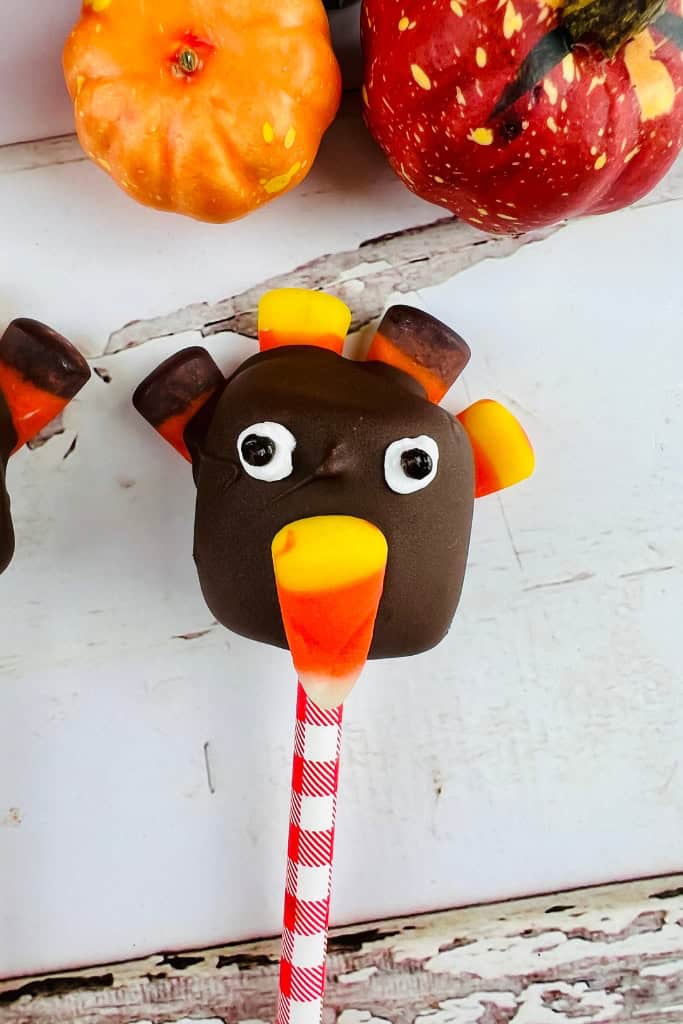 Turkey Marshmallow Pops by Party Time Snacks