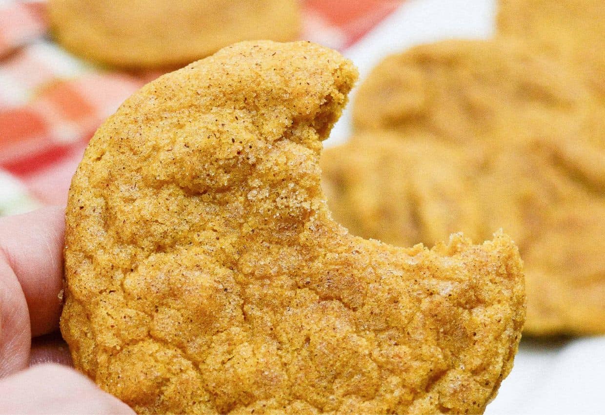 Chewy Pumpkin Snickerdoodles