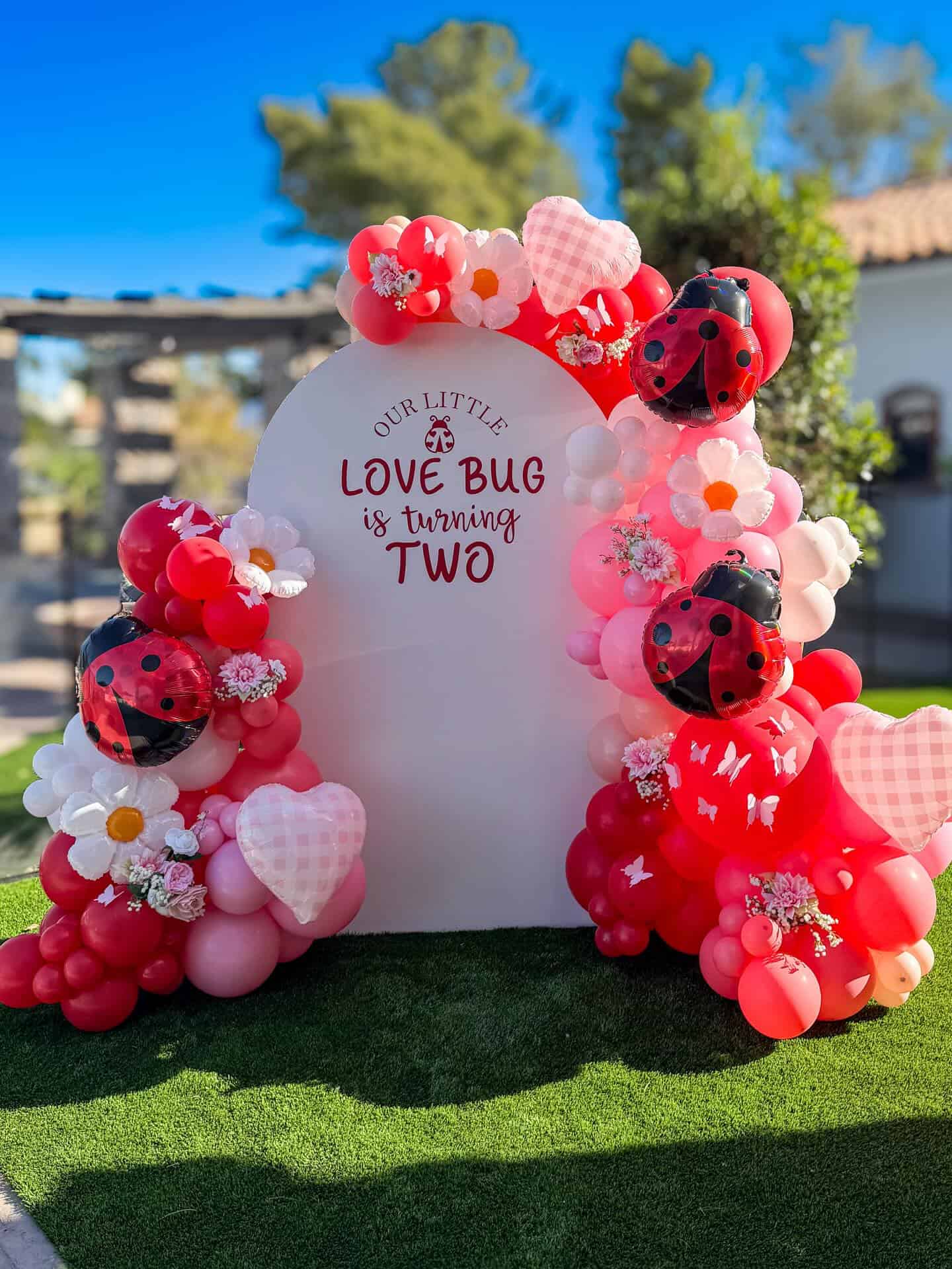 Ladybug Love Bug Themed Second Birthday Party