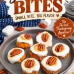Retro-style graphic featuring Sweet Potato Bites topped with marshmallow and pecan, small bite big flavor