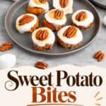 Sweet Potato Bites plate photo paired with a bold banner reading an easy Thanksgiving appetizer everyone will love