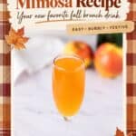 Apple Cider Mimosa in a champagne flute on a marble surface with apples in the background