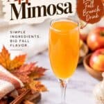 Apple Cider Mimosa in a champagne flute on a marble counter with apples and cinnamon sticks