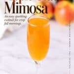 Apple Cider Mimosa in a champagne flute on a marble counter with apples in the background
