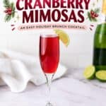 Cranberry mimosa in a champagne flute with a lime wedge garnish, next to a bottle of champagne and limes.