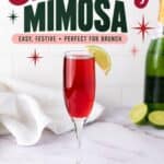 Cranberry Mimosa in a champagne flute with a lime wedge, next to a bottle and sliced limes