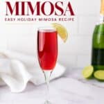 Cranberry mimosa in a champagne flute with a lime wedge garnish, next to a sparkling wine bottle