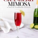 Cranberry mimosa in a champagne flute with a lime wedge garnish, next to a bottle of champagne