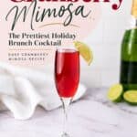 Cranberry Mimosa in a champagne flute with a lime wedge garnish, next to sparkling wine and fresh limes