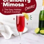 Cranberry Mimosa in a champagne flute with a lime wedge garnish, next to a bottle of champagne
