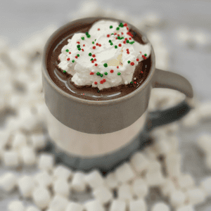 Crockpot Cinnamon Hot Chocolate